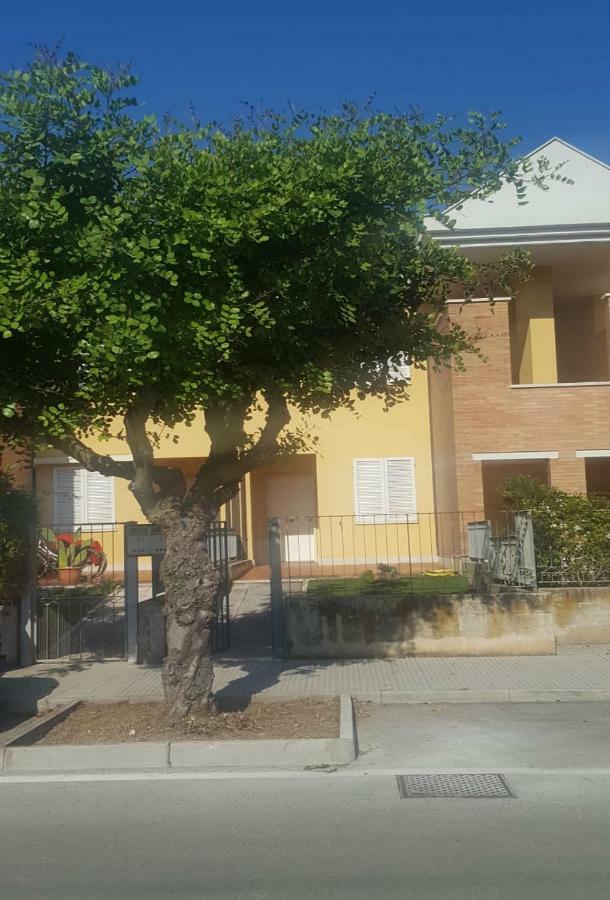 Appartamento Emilia Cupra Marittima Exteriér fotografie